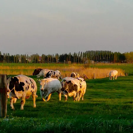 Hof Moye Tyt Konukevi Middelkerke